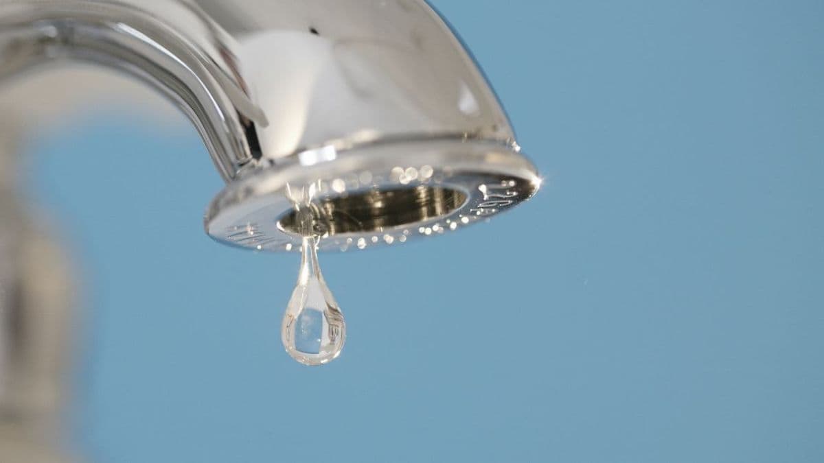 Idaho Policy Institute Eviction Rate 2020 Shoshone