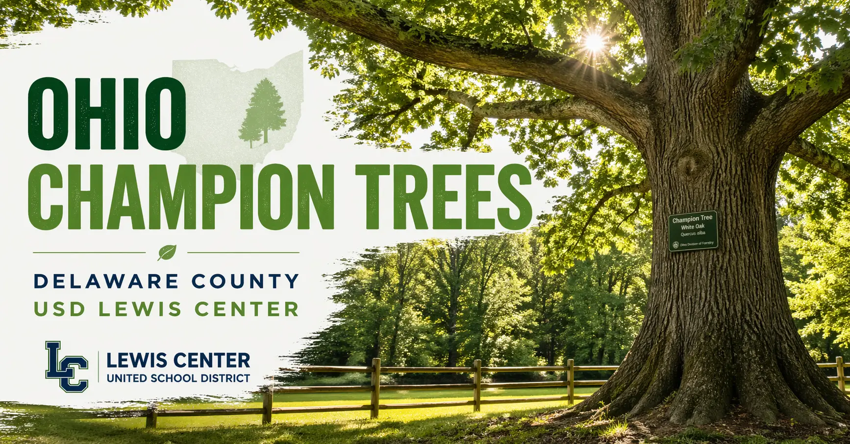 Ohio Champion Trees Delaware County USD Lewis Center